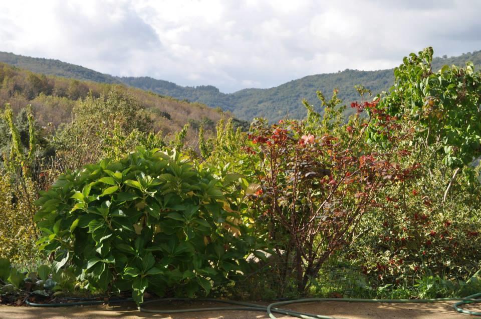 Mattale Villa Tonara Exterior photo